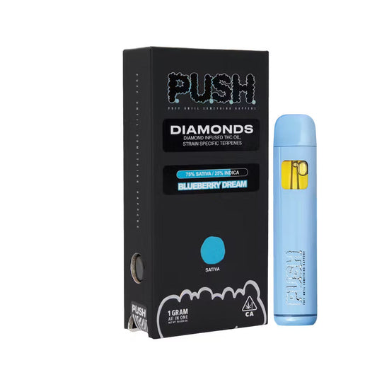 PUSH Blueberry Dream Disposable