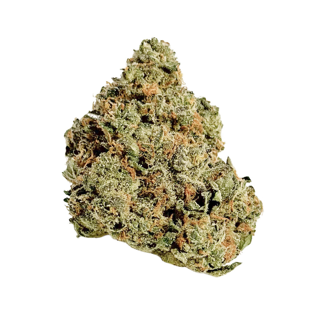 REGULAR SHELF- APPLE FRITTER (INDICA)