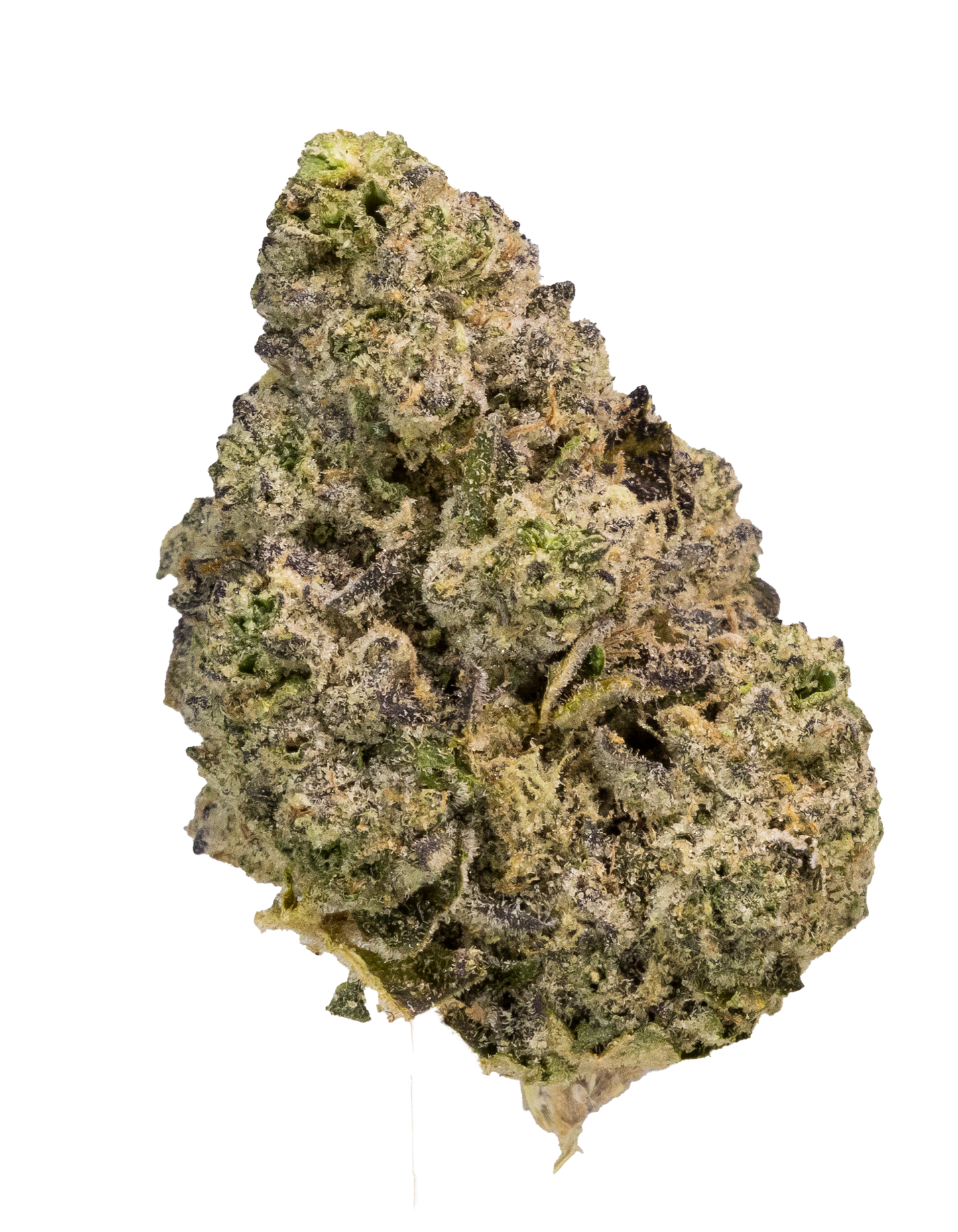 PREMIUM SHELF- DOLATO (INDICA)